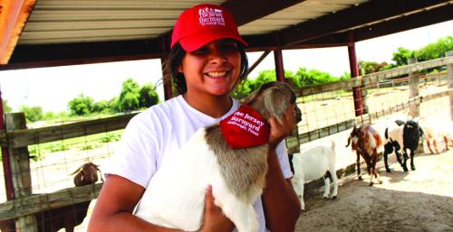 The hot temperatures don’t just have humans seeking cooler climates. The animals at The Jersey Barnyard outside seek out the shade too. Above, employee Xeriah Jiminez holds one of the baby goats recently born at the farm under the cover of the barn. Below, the Jersey cows, goats and guinea fowl all seek out shade and water during the heat of a recent afternoon.