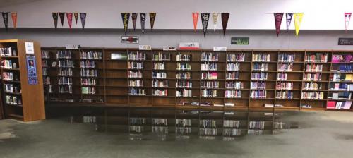 The water from a busted pipe flowed into the library at LHS, note the books reflected in the carpet, but no books were damaged.