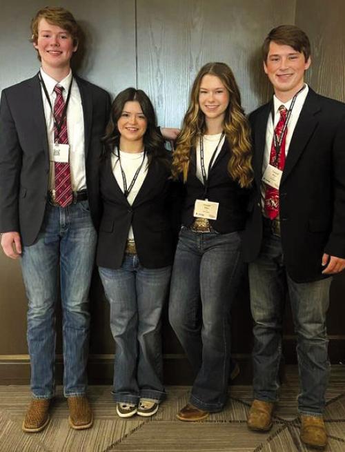 4-H at National Western Roundup