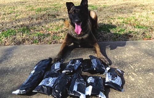 Kolt Finds $637,000 in Fentanyl