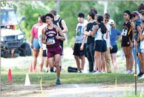 Flatonia Shines at Moulton Distance Meet