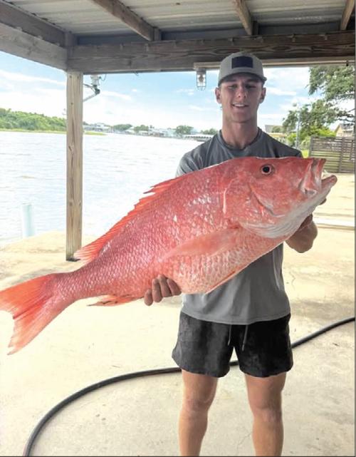 Quite a Fish Tale