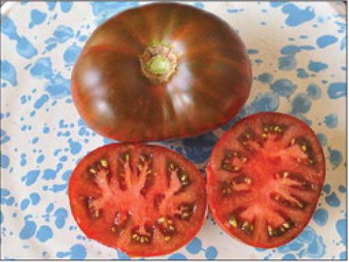 An image of Paul Robeson tomatoes from the Baker Creek Seed Catalog.
