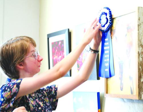 The Emerging Artists Contest provides an annual opportunity for creative teens to showcase their creations at the ARTS' Ross Gallery.