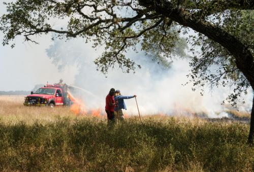 Saw Sparks 50-Acre Fire on Roznov Road