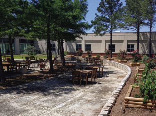 Old planter boxes were removed and new ones were installed at the Healing Garden. Shrubs will be planted at a future work day.