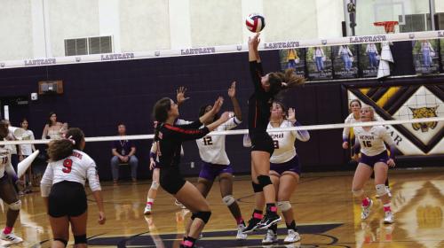 Lady Horns, Fayetteville Roll On