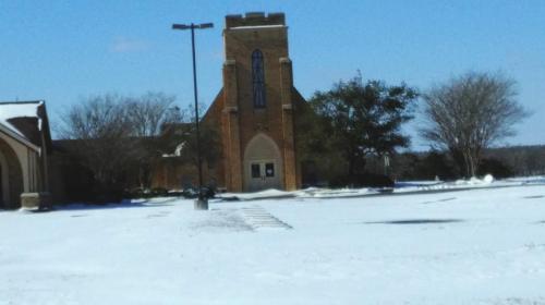 Warda in the Snow