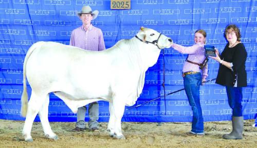 2025 Fayette Co. Junior Livestock Show Showmanship Winners
