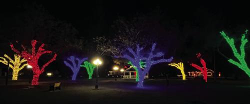 If you haven’t already done so, do yourself a favor and drive by the Fayette Public Library in La Grange at night to check out their new, beautiful Christmas light display, 10 trees, covered in lights, all coordinated by color. Photo by Jeff Wick