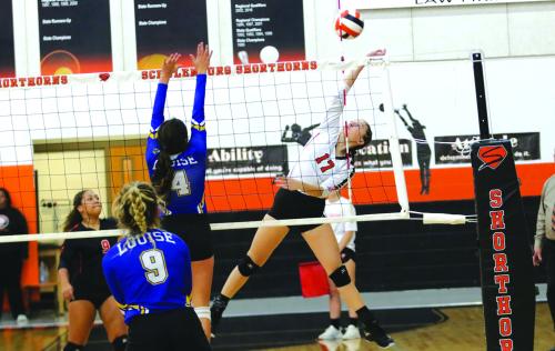 Four County Volleyball Teams Win Tuesday