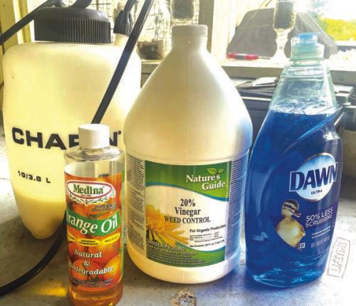 Everything you need to kill weeds naturally: a pump-up sprayer, 20 percent vinegar, an ounce or two of orange oil and a few drops of Dawn dish soap.