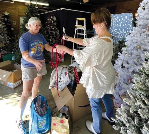 Fayetteville Christmas Tree Display Now Open
