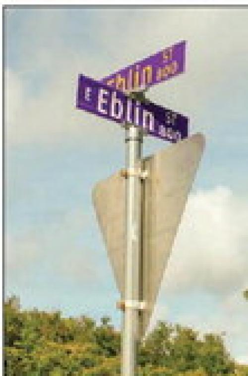 New Purple Street Signs Coming to La Grange