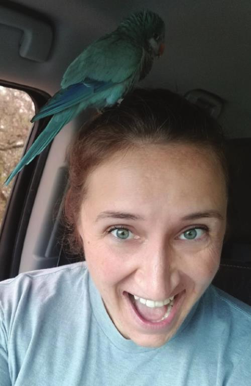 Loretta Greenwood with her pet Quaker parakeet, Prof. Oats, after she found him on Monday. The bird took a bit of an adventure over the weekend after escaping from his cage on Friday.