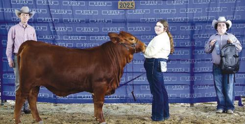 Grand Champion American Heifer - Rheagan Karisch, Pure Country 4-H; Caleb Boardman - Heifer Judge and Rilan Karisch - Holding Bag.