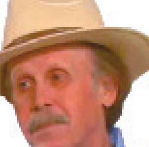 The Desperate Search of Britt Johnson