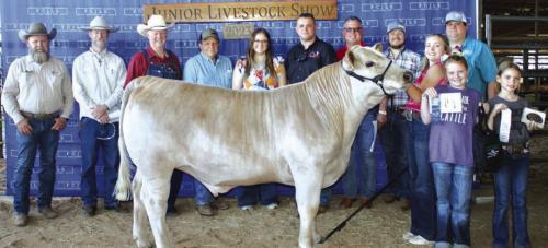 2023 County Livestock Showmanship Winners