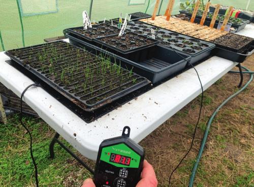 Trying Out a Heating Pad for the Seedlings
