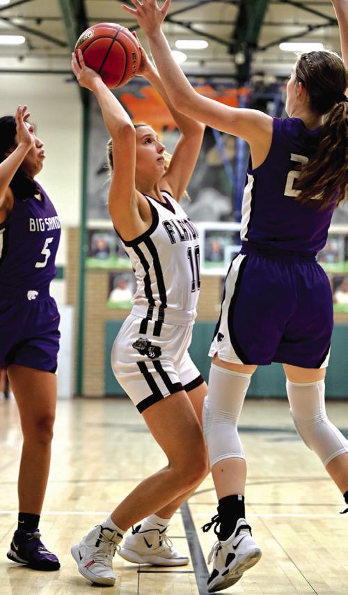 Lady Bulldogs Fall in Area Round