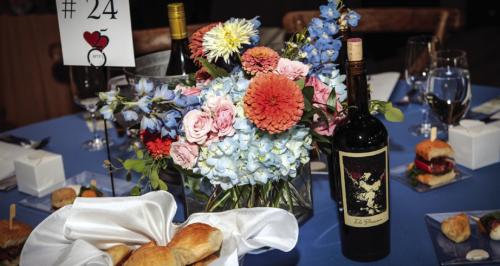 Round Top Family Library Celebrates 25 Years with Largest Gala Yet