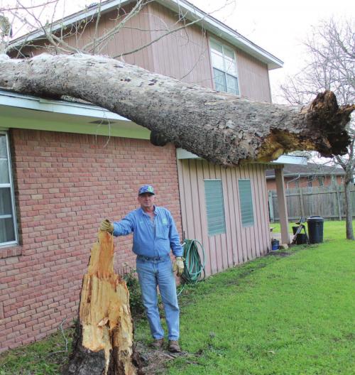 Storm’s Balancing Act