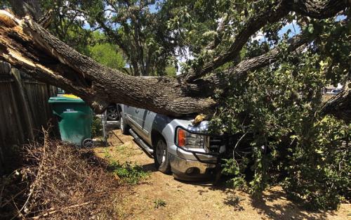 A truck lies under this storm damage on Camp St. in La Grange. Photo courtesy of Joe Fietsam Jr.