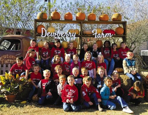 St. Rose of Lima Enjoys Dewberry Farm