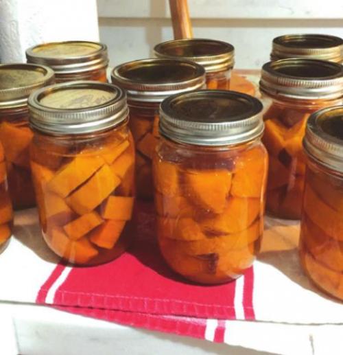 Successfully canned pints of sweet potatoes.