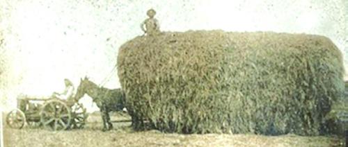 Try Finding A Needle In This Hay Stack
