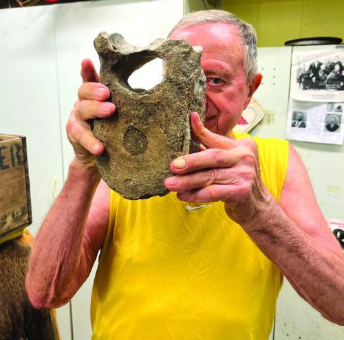 Heinsohn’s Amazing Finds