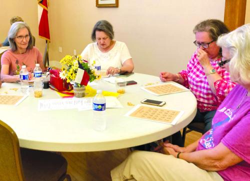 Czech Heritage Society Holds Annual Picnic