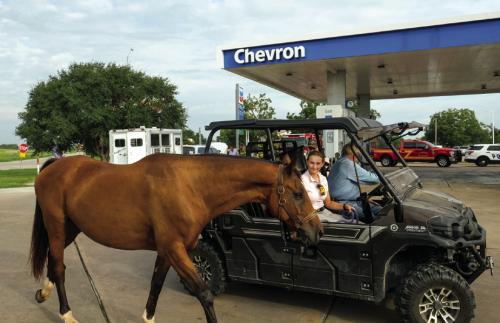 Troubled Motorist and Her Horse Get Help in La Grange