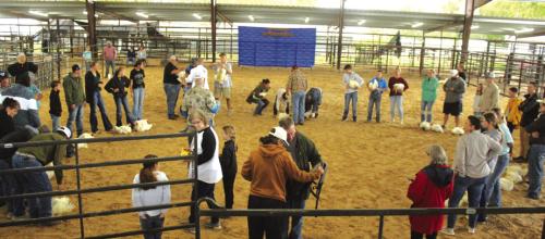The judging of the broiler hens drew a big crowd to the show ring Friday as parent, grandparents and friends helped exhibitors showcase their pen of three chickens each. Photos by Jeff Wick