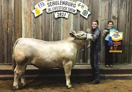 Livestock Showcase