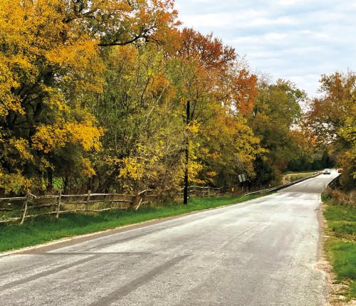 Fall Foliage: Some Thoughts and Tips