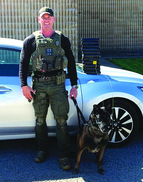 Kolt Finds Half Million in Cocaine