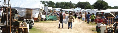 Money Flows in During Annual Antiques Shows