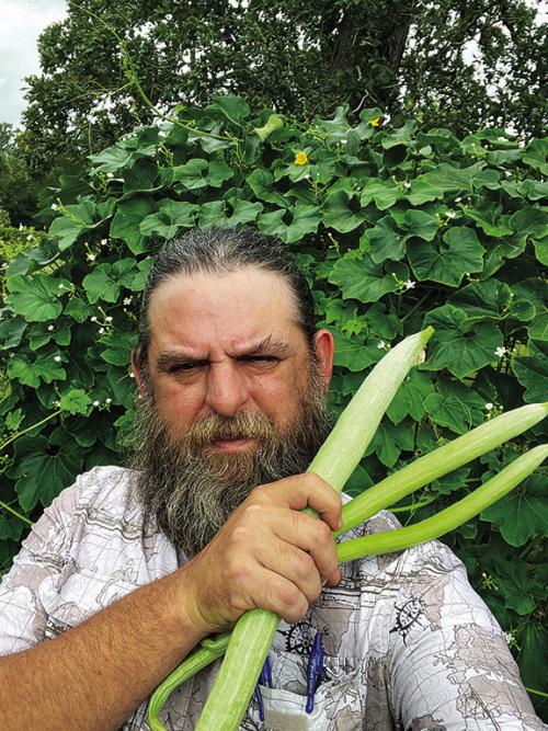 I picked these snake beans at a small size, about 12-18 inches. They taste the best at this stage.