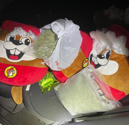Drugs Found Stuffed Inside Beaver Plushies