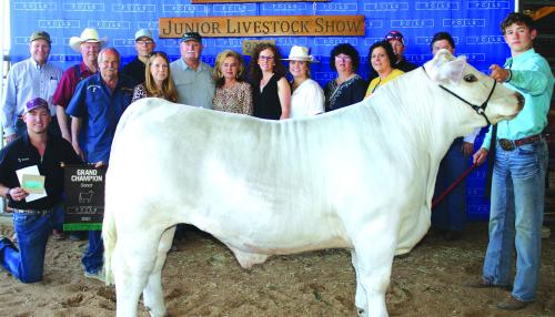  2023 Fayette Co. Junior Livestock Show Grand Champions