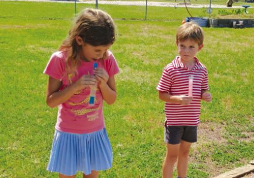 The Chlumsky grandkids, Olivia and Marcus enjoying their cool treats in the country.