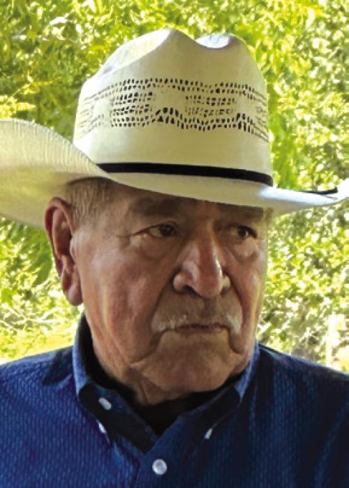 Dela Rosa