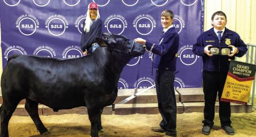 It’s Stock Show Season in Fayette Co.