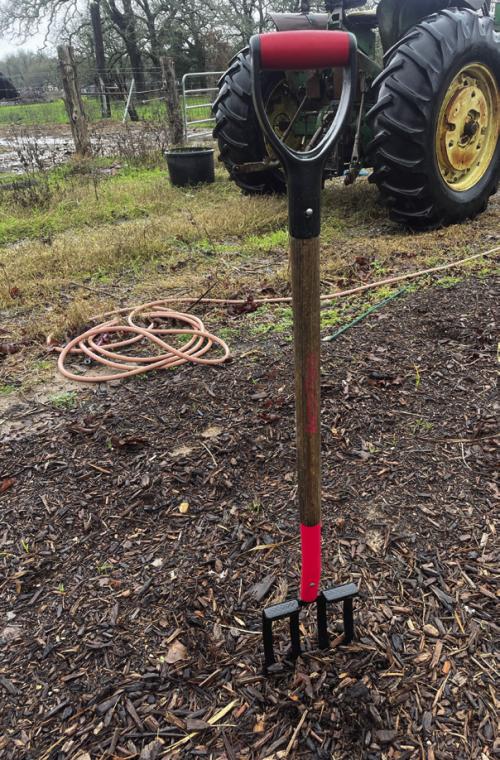 What to Do When Soil Gets Too Wet