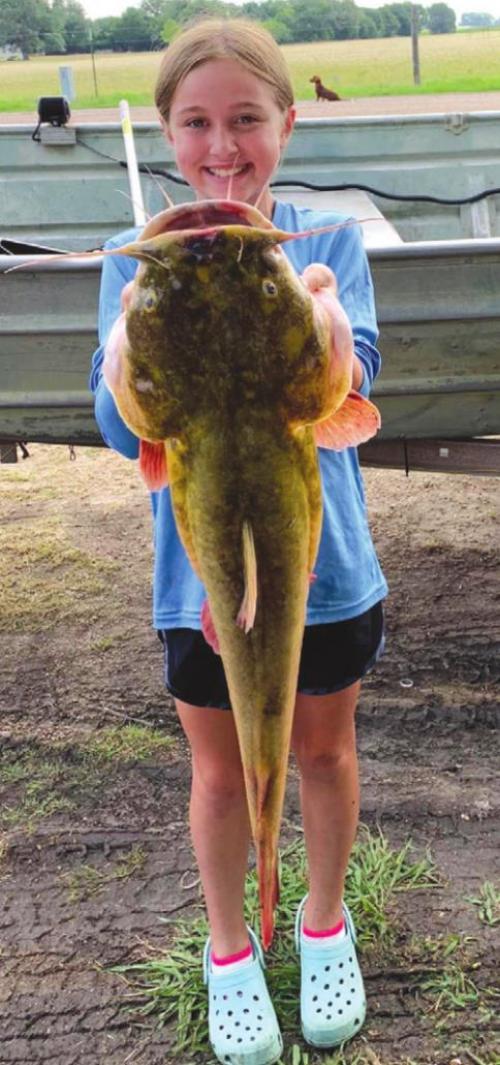 Denham Trot Line Catch