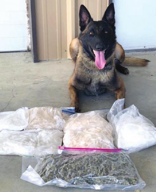 Fayette County K9 Kolt located six kilos of methamphetamines and one pound of hydro marijuana during a traffic stop Friday on I-10.
