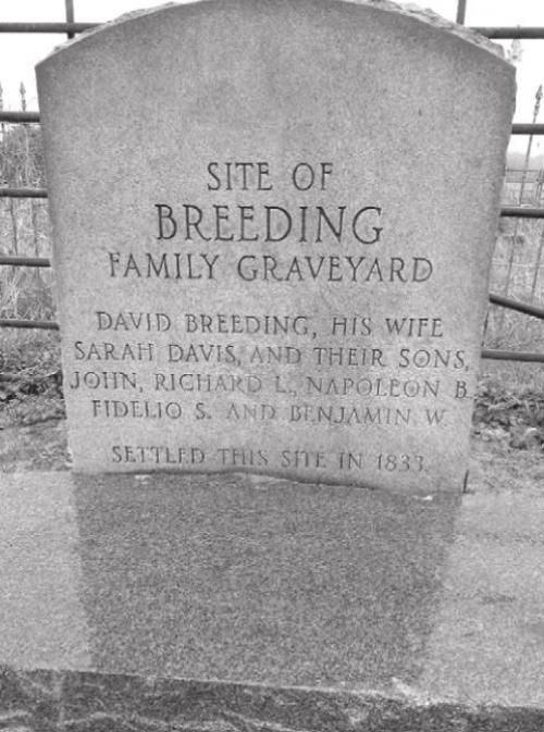 The Breeding family graveyard located in the Willow Springs area.