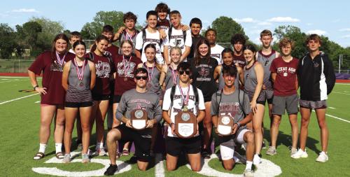 Lions Run Away With Area Title