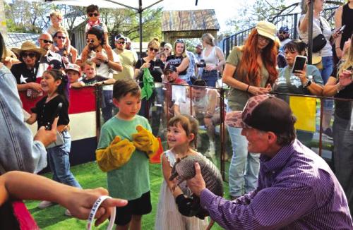 Swiss Alp’s Ralph Fisher took his armadillos to Gruene Hall March 1 for a special Texas Independence Day Weekend event, where a steady stream of attendees enjoyed holding and racing the Armadillos. Photo courtesy of Gary Wessels